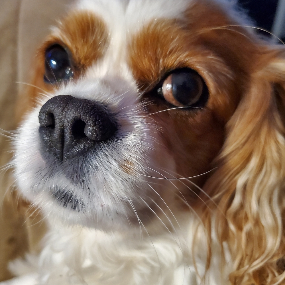 Meet your Posher, Kara